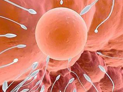 案例